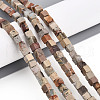 Natural Aqua Terra Jasper Beads Strands G-T140-43B-1