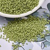 MIYUKI Delica Beads SEED-X0054-DB2290-1
