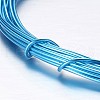 Round Aluminum Craft Wire AW-D009-1mm-10m-16-2