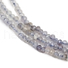Natural Iolite Beads Strands G-F789-02-5