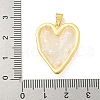 Rack Plating Brass & Epoxy Resin Pendants KK-C059-10A-G-3