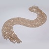 Electroplate Glass Bead Strands EGLA-J047-6x4mm-AB22-2