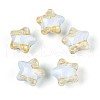 Transparent Resin Enamel Beads RESI-N043-02B-1