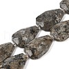 Natural Syenite Beads Strands G-P548-B26-01-1