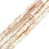 Natural Freshwater Shell Beads Strands SHEL-G013-02B-1