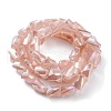 Electroplated Glass Beads Strands GLAA-G092-A-10-2