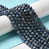 Natural Kyanite/Cyanite/Disthene Round Beads Strands G-O017-6mm-04C-5