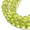 Transparent Baking Paint Glass Beads Strands DGLA-A034-T6mm-D05-3
