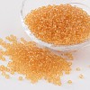 8/0 Glass Seed Beads X-SEED-A004-3mm-2B-1