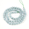 Natural Myanmar Jade/Burmese Jade Beads Strands G-T108-27A-01-3
