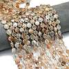 Natural Black Gold Rutilated Quartz Beads Strands G-C116-A45-02-1