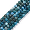 Natural Apatite Beads Strands G-F770-C02-02-1