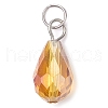 15Pcs Electroplate Glass Pendants PALLOY-JF03011-4