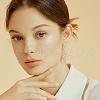 Beebeecraft 100Pcs 304 Stainless Steel Leverback Earring Findings STAS-BBC0006-26-6