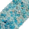 Natural Agate Beads Strands G-J361-01-8mm-2