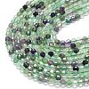 Natural Fluorite Beads Strands G-A260-A50-01-3