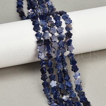 Natural Sodalite Beads Strands G-B138-C12-01-1