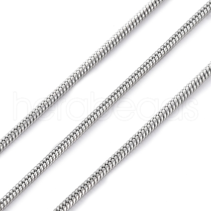 304 Stainless Steel Round Snake Chains CHS-M009-01P-02A-1