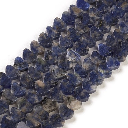 Natural Sodalite Beads Strands G-M403-A08-1