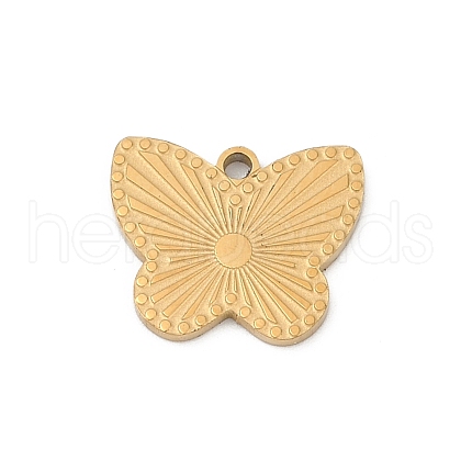 304 Stainless Steel Charms STAS-P383-05G-1