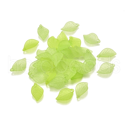 Transparent Acrylic Pendants FACR-XCP0001-04-1