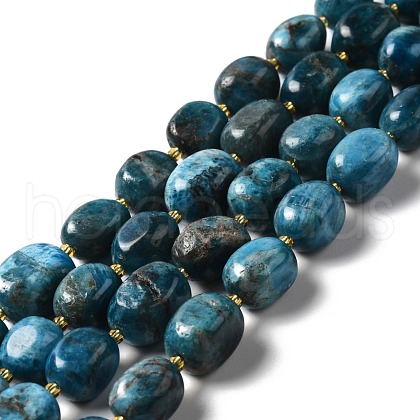 Natural Apatite Beads Strands G-B028-B09-1