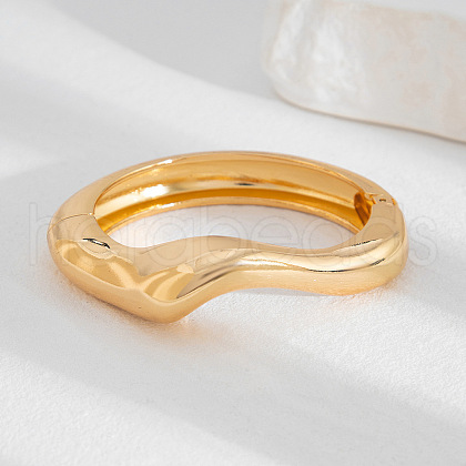 Alloy Hinged Bangles for Women FS-WGCBF0C-07-1