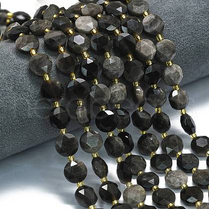 Natural Silver Obsidian Beads Strands G-C116-A106-01-1