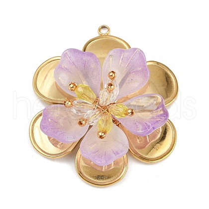 304 Stainless Steel and Acrylic and Plastic Pendants STAS-R170-04G-05-1