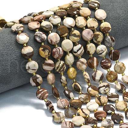 Natural Zebra Jasper Beads Strands G-C116-A100-01-1