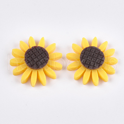 Resin Cabochons CRES-T010-63G-1