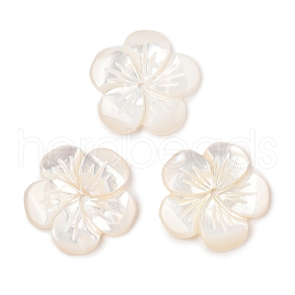 Natural White Shell Carved Beads SSHEL-I026-12F-07-1
