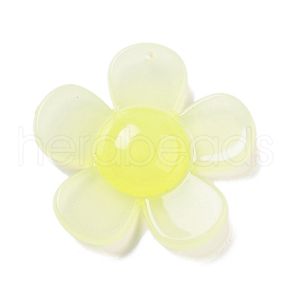 Opaque Resin Pendants FIND-M035-02E-1