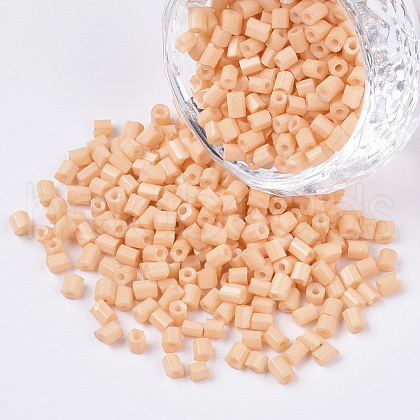 8/0 Two Cut Glass Seed Beads SEED-S033-06A-04-1
