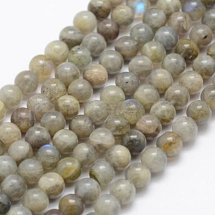 Natural Labradorite Beads Strands G-P322-33-6mm-1