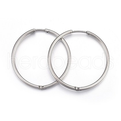 Tarnish Resistant 304 Stainless Steel Huggie Hoop Earrings X-EJEW-L205-02A-P-1