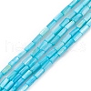 Natural Freshwater Shell Dyed Beads Strands SHEL-M018-11-04-1