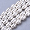 Polished Shell Pearl Beads Strands X-BSHE-L042-A02-1