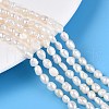 Natural Cultured Freshwater Pearl Beads Strands PEAR-N014-04K-1