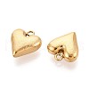 304 Stainless Steel Charms STAS-N109-177G-2