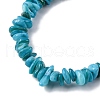 Natural Freshwater Shell Beads Strands BSHE-I016-01A-3