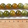 Natural Multi-Color Agate Beads Strands G-A261-B14-14mm-5