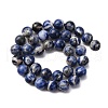 Natural Sodalite Beads Strands G-R015-B01-10mm-3