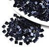 2-Hole Glass Seed Beads SEED-S031-L-ST129-1