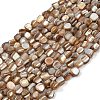 Natural Trochus Shell Beads Strands BSHE-Q050-01A-1