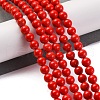 Synthetic Turquoise Beads Strands G-L605-G01-01B-2
