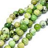 Natural Serpentine Beads Strands G-F576-01-10mm-1