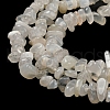 Natural Moonstone Beads Strands G-G0003-B42-4