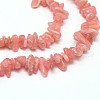 Chips Natural Rhodochrosite Beads Strands G-N0164-22-2