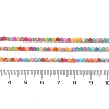 Natural Freshwater Shell Beads Strands SHEL-P017-02-4